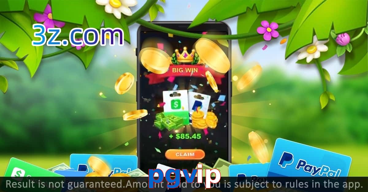 pgvip.com