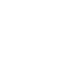 pgvip shield